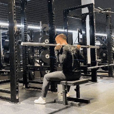 Seated Barbell Good Mornings