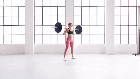 Barbell Back Squat Exercise